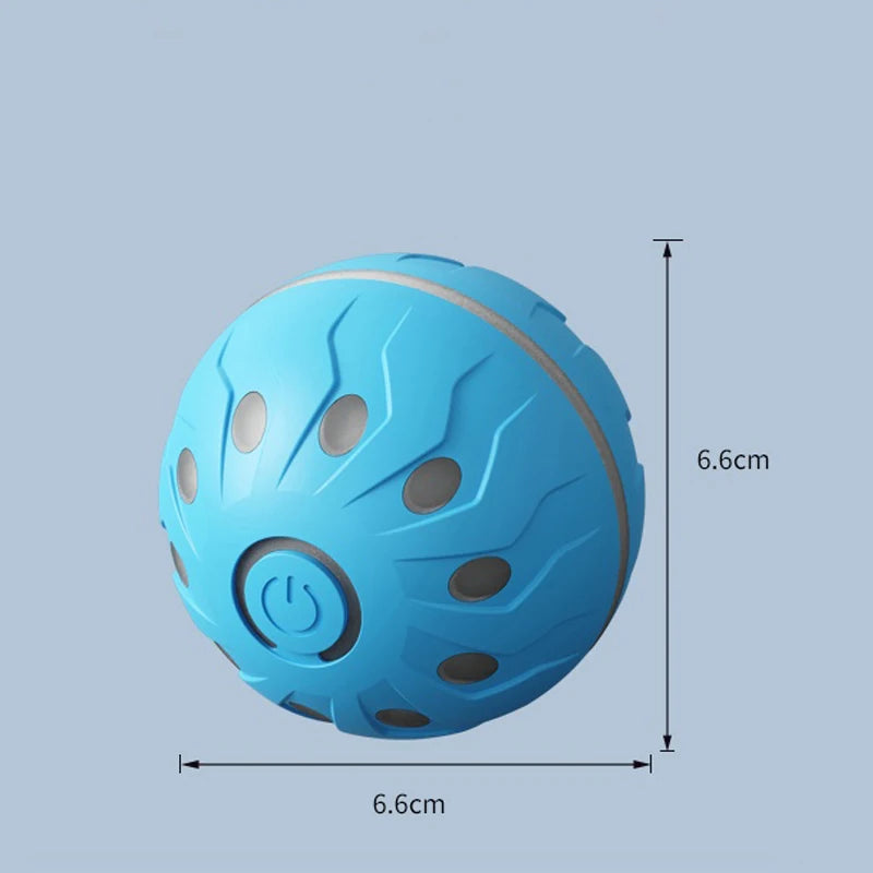 Electric Dog Ball