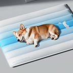 Cooling Gel Pad