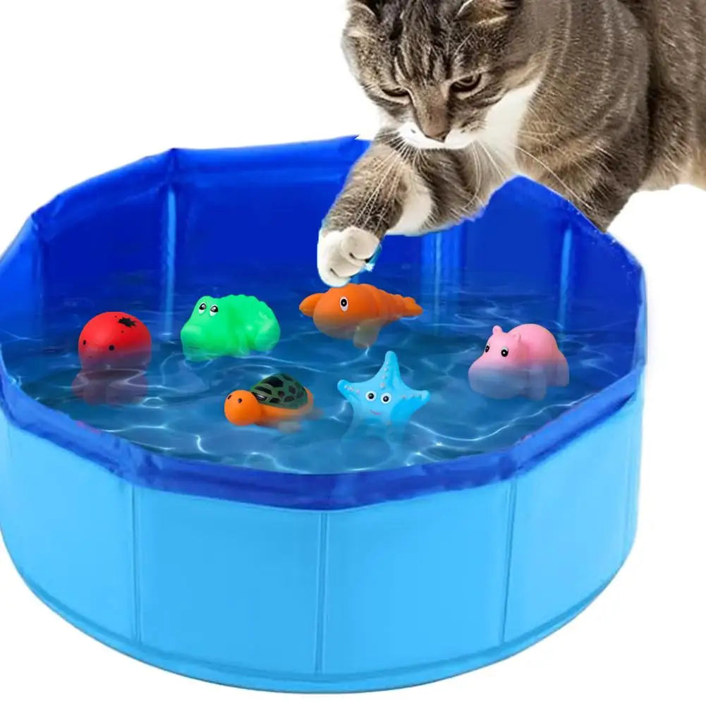 Cat Pool Toy