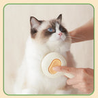 Pet Grooming