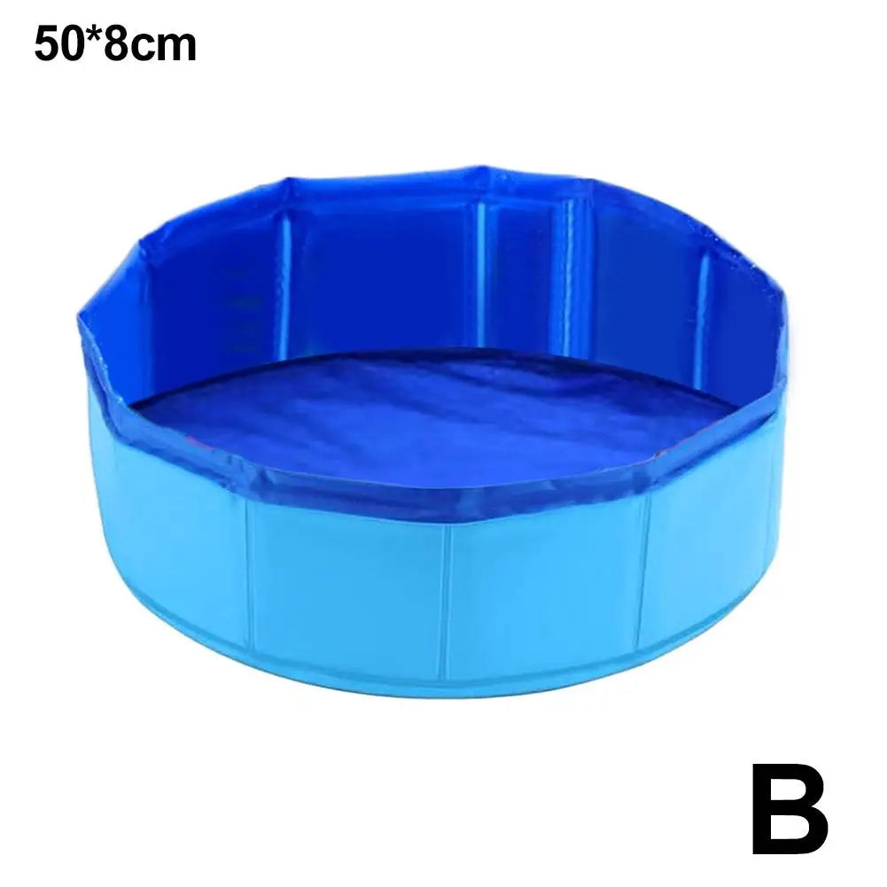 Cat Pool Toy