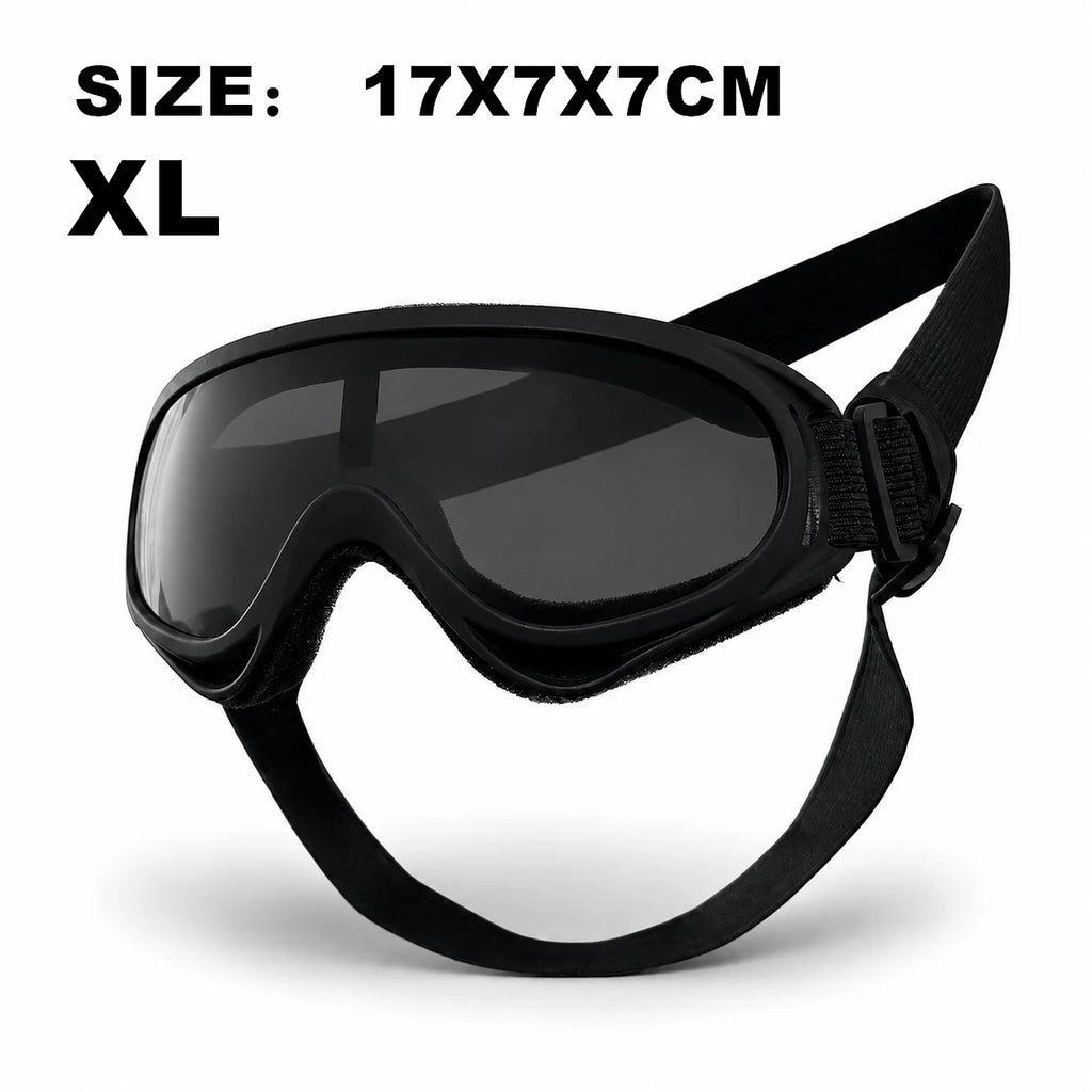 Pet Goggles