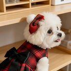 Dog Clothes
