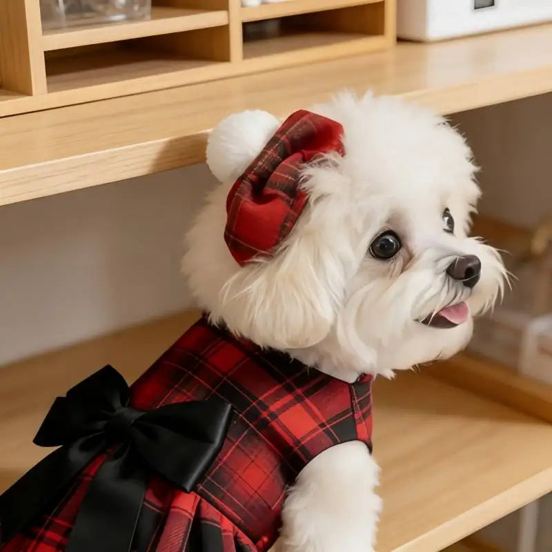 Dog Clothes