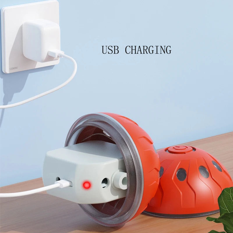 Electric Dog Ball