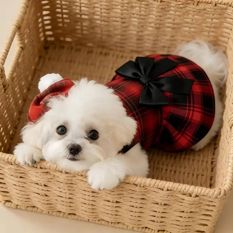 Dog Clothes
