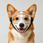 Pet Goggles