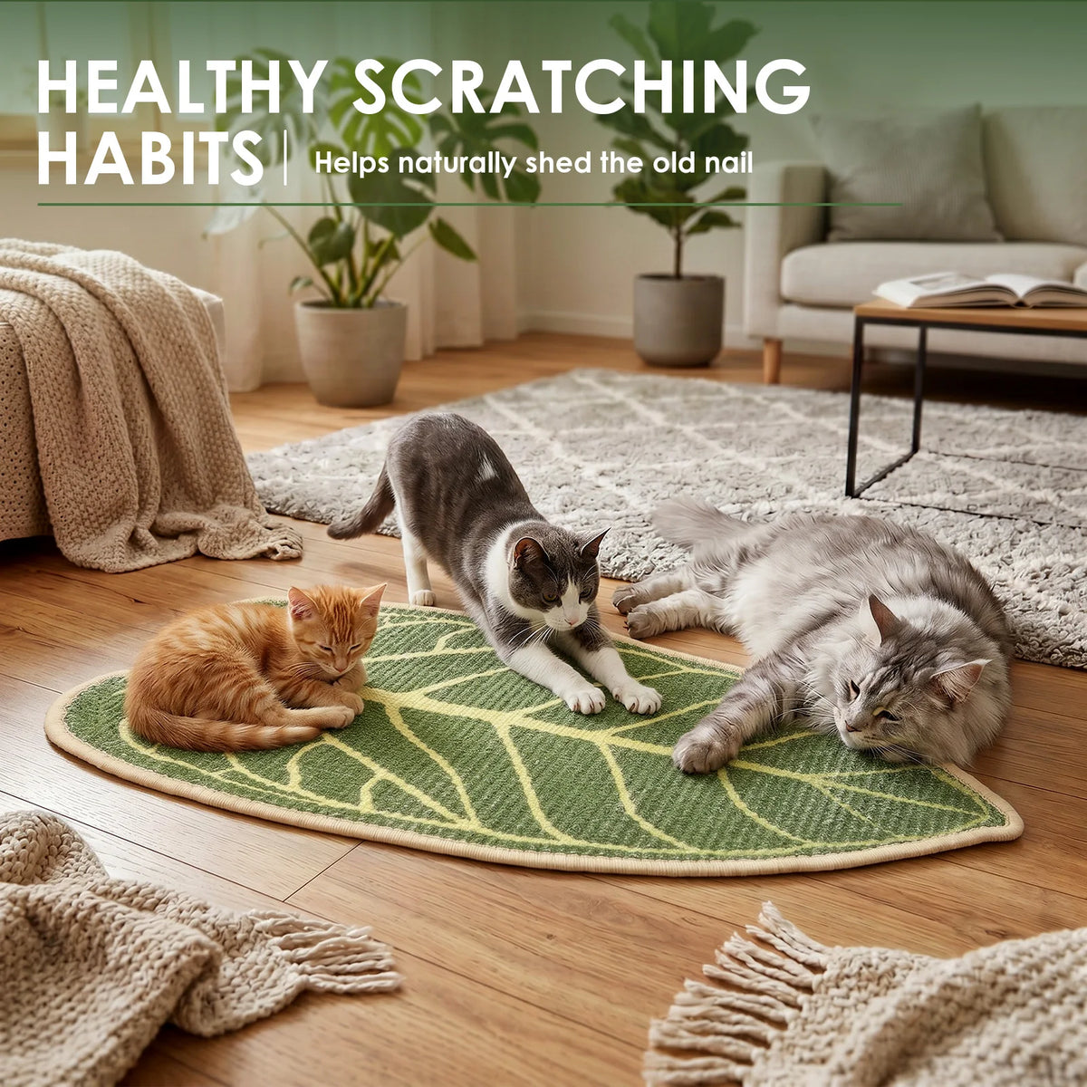 Cat Scratcher