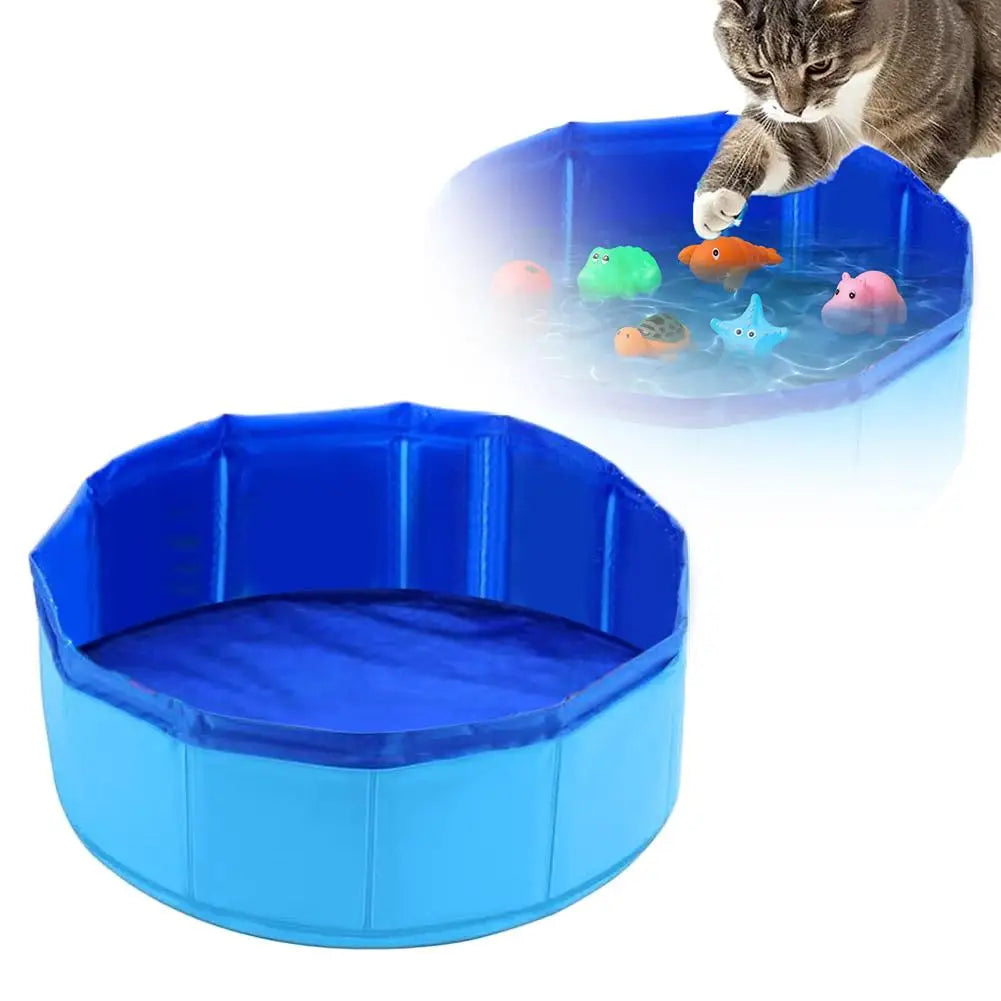 Cat Pool Toy