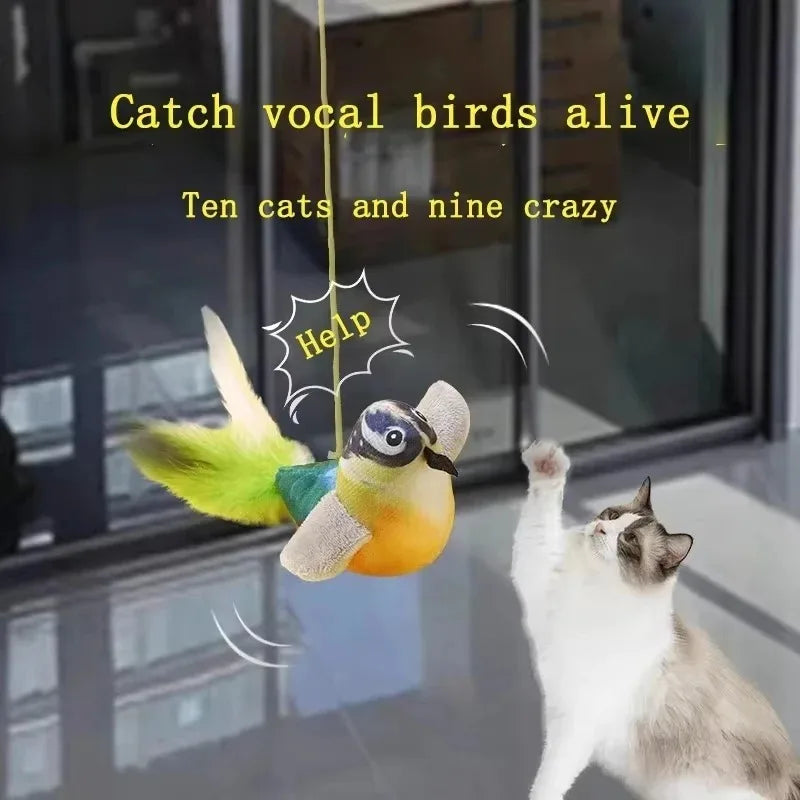 Cat Toy