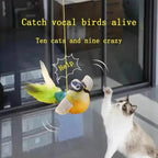 Cat Toy