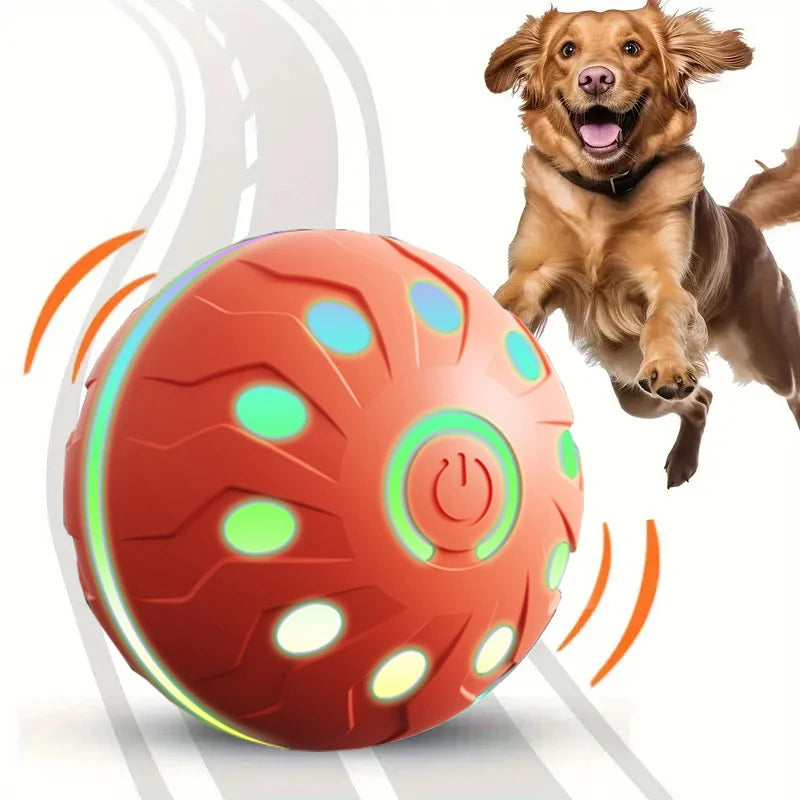 Electric Dog Ball