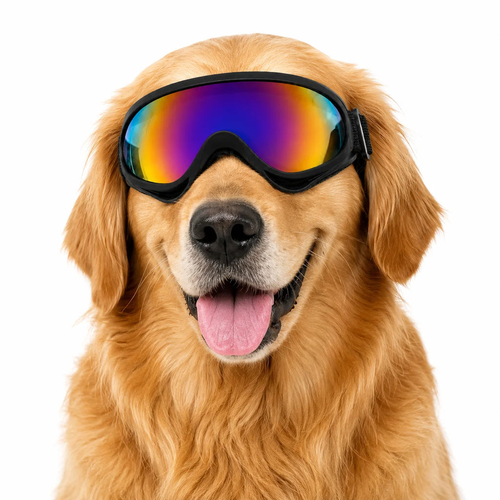 Pet Goggles