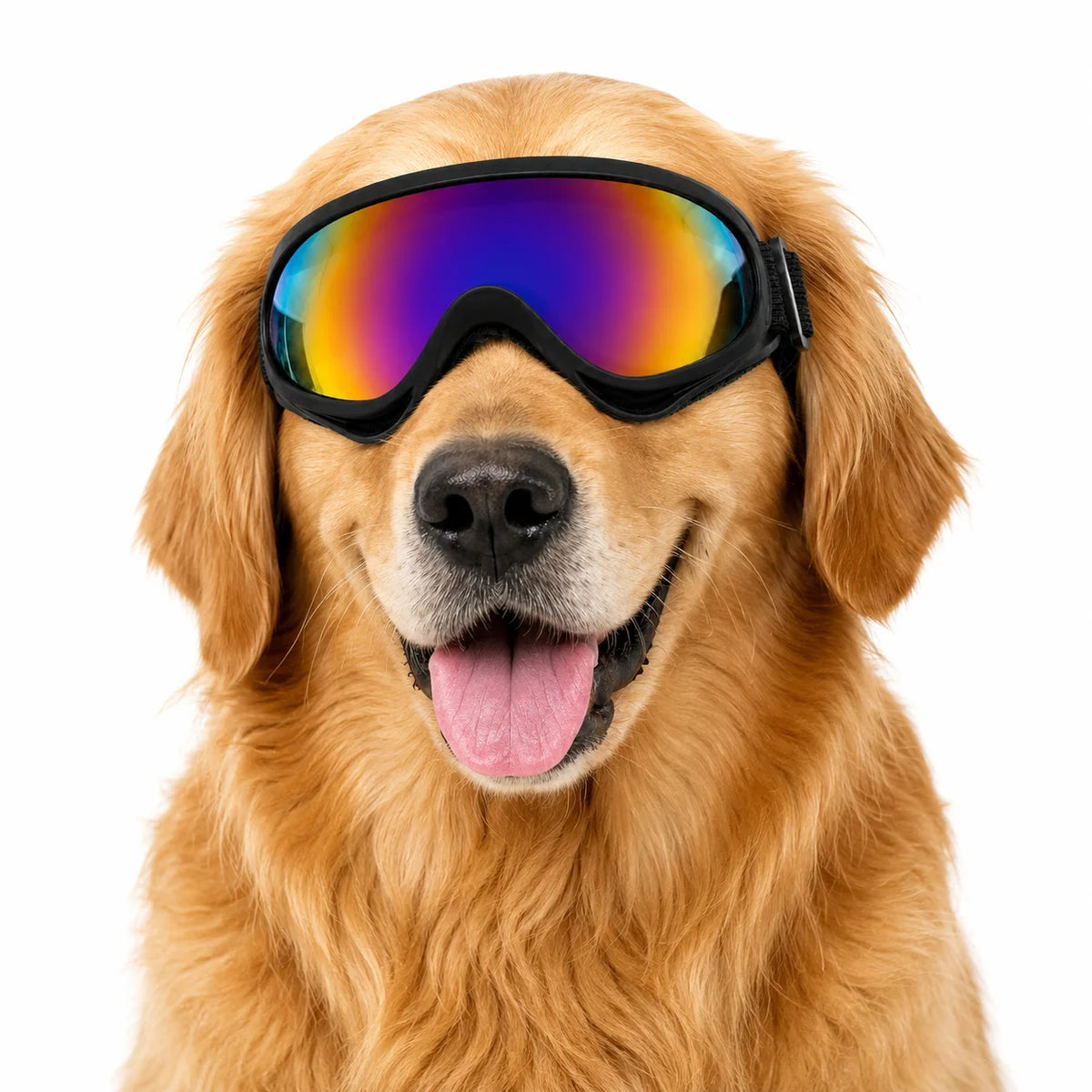 Pet Goggles