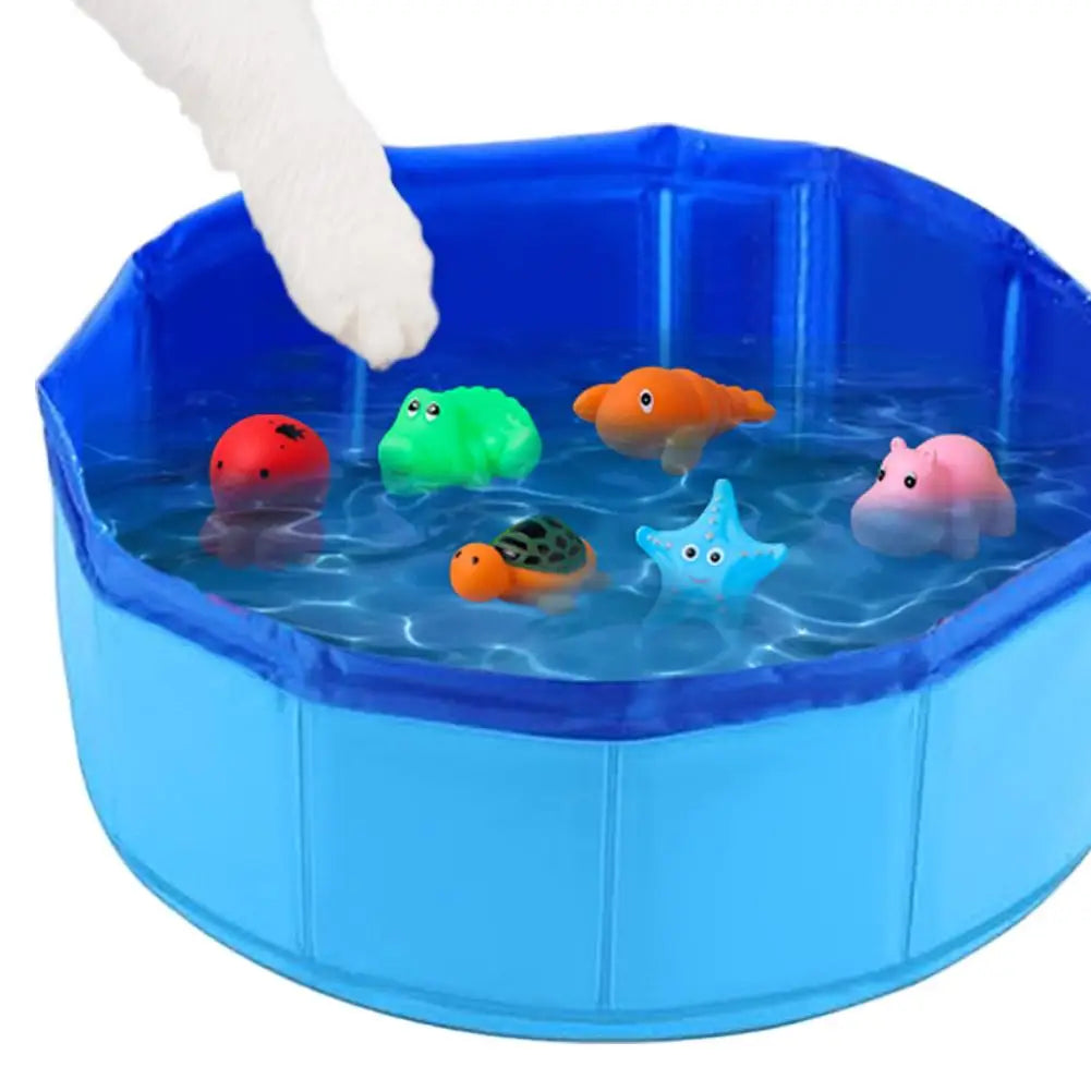 Cat Pool Toy