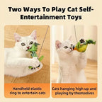 Cat Toy