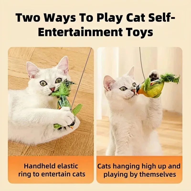 Cat Toy
