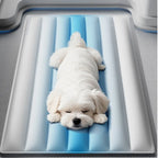 Cooling Gel Pad
