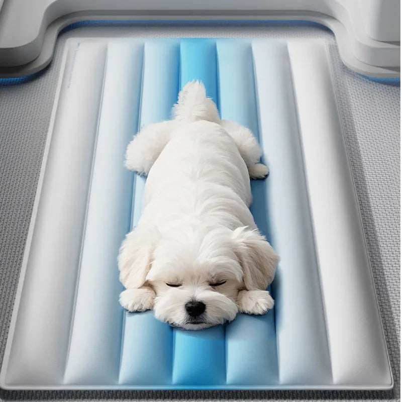 Cooling Gel Pad